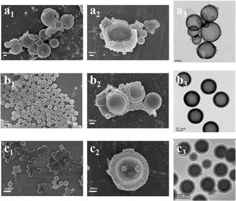  Osaka Nano Bioglass: A Revolution in Bone Regeneration and Drug Delivery?!